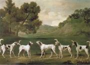 George Stubbs, Some Dogs